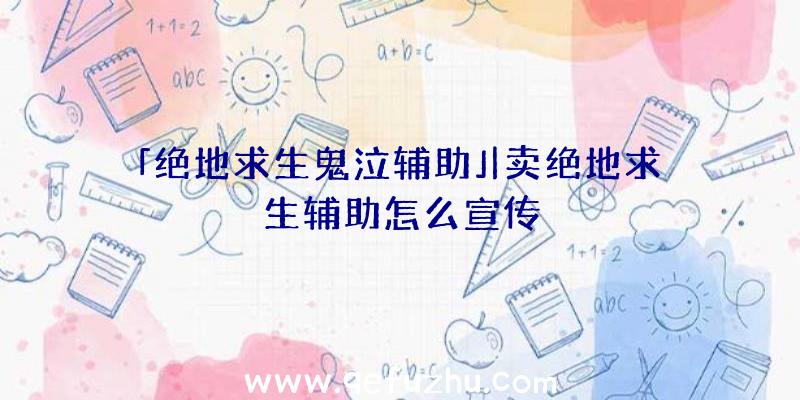 「绝地求生鬼泣辅助」|卖绝地求生辅助怎么宣传